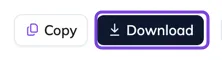 The Copy and Download buttons of the screen footer